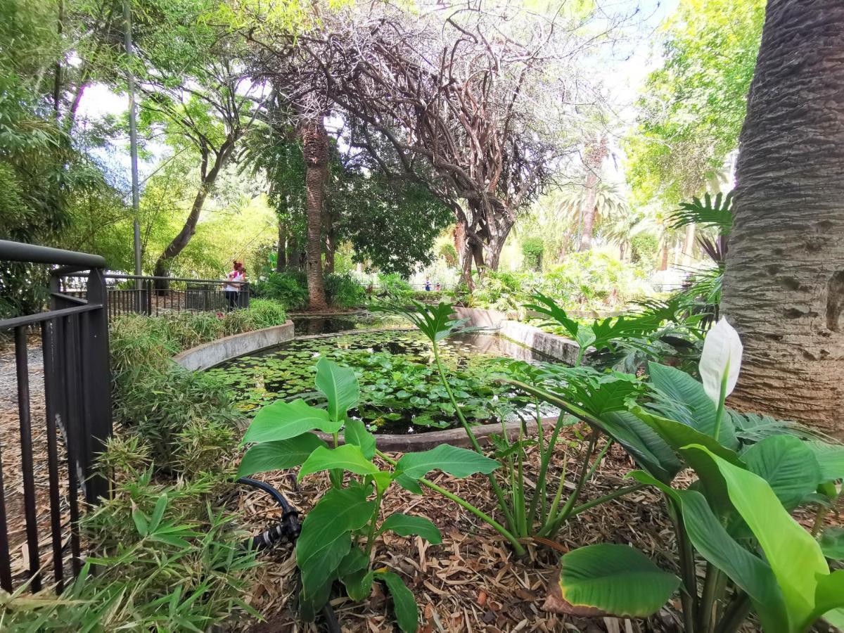 Home2Book Charming Studio Santa Cruz City Views Εξωτερικό φωτογραφία